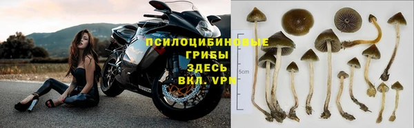 прущая мука Верхний Тагил